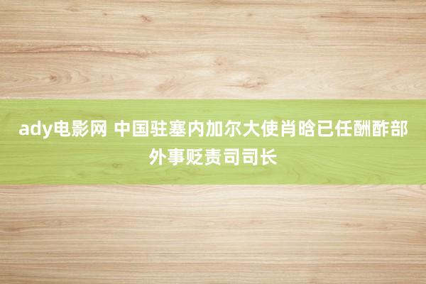 ady电影网 中国驻塞内加尔大使肖晗已任酬酢部外事贬责司司长