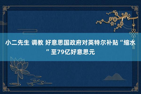 小二先生 调教 好意思国政府对英特尔补贴“缩水”至79亿好意思元